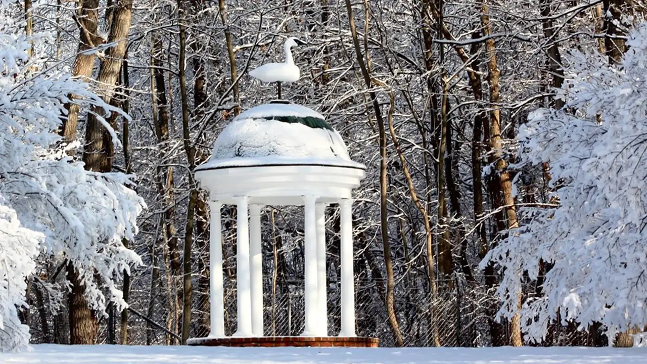 A snowy gazebo among frosted trees