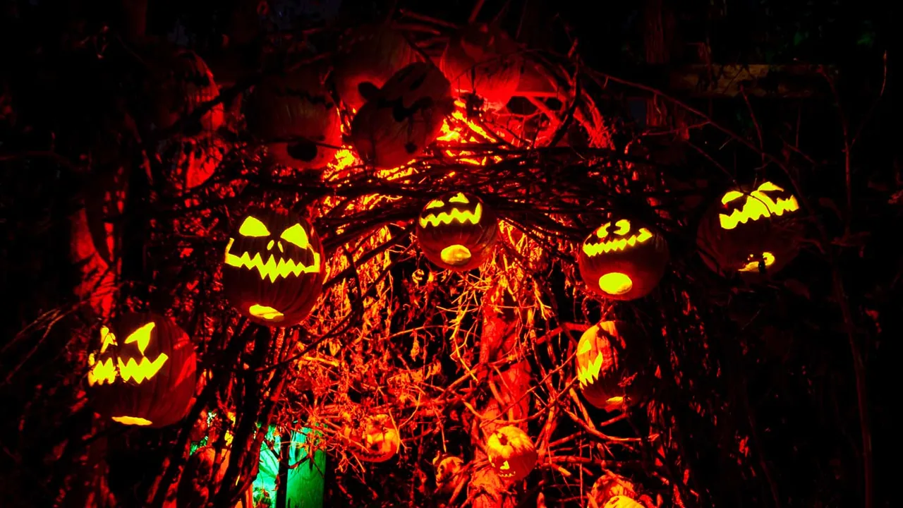 Carved jack-o'-lanterns glow among tangled branches lit red and orange at night.