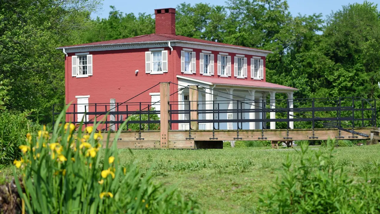A red brick historic house above a grassy slope with yellow irises