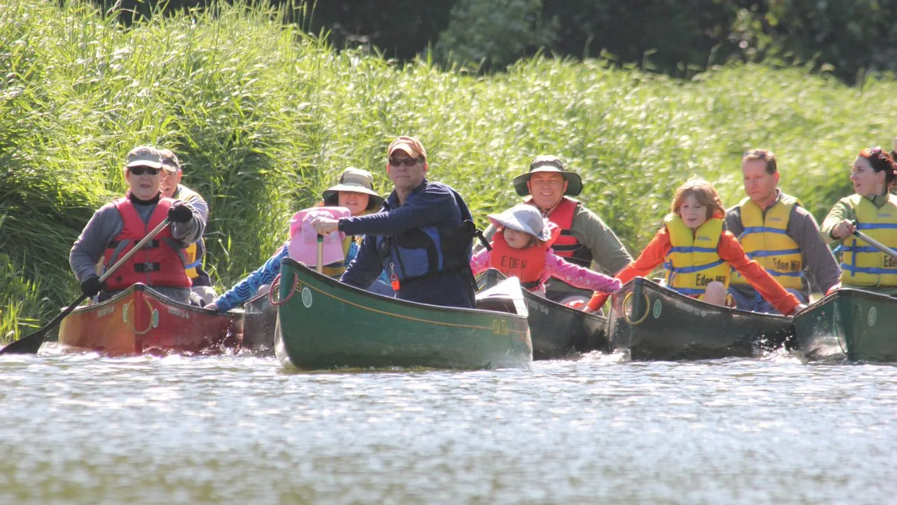 Families in life jackets paddle canoes along a reed-lined creek