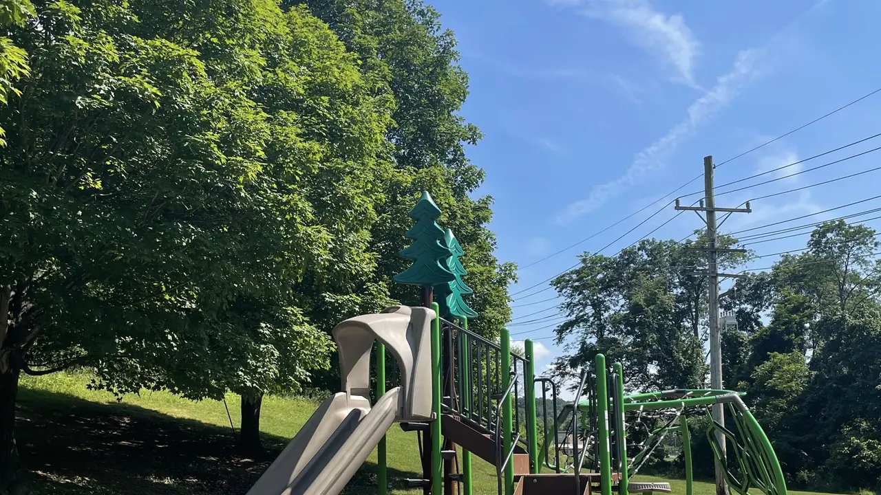 A playground with slides and climbing equipment beside tall trees in a park