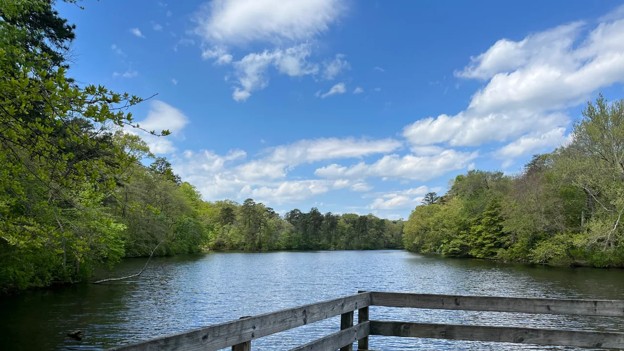 A calm lake framed by green trees under a blue sky with a wooden railing in front.
