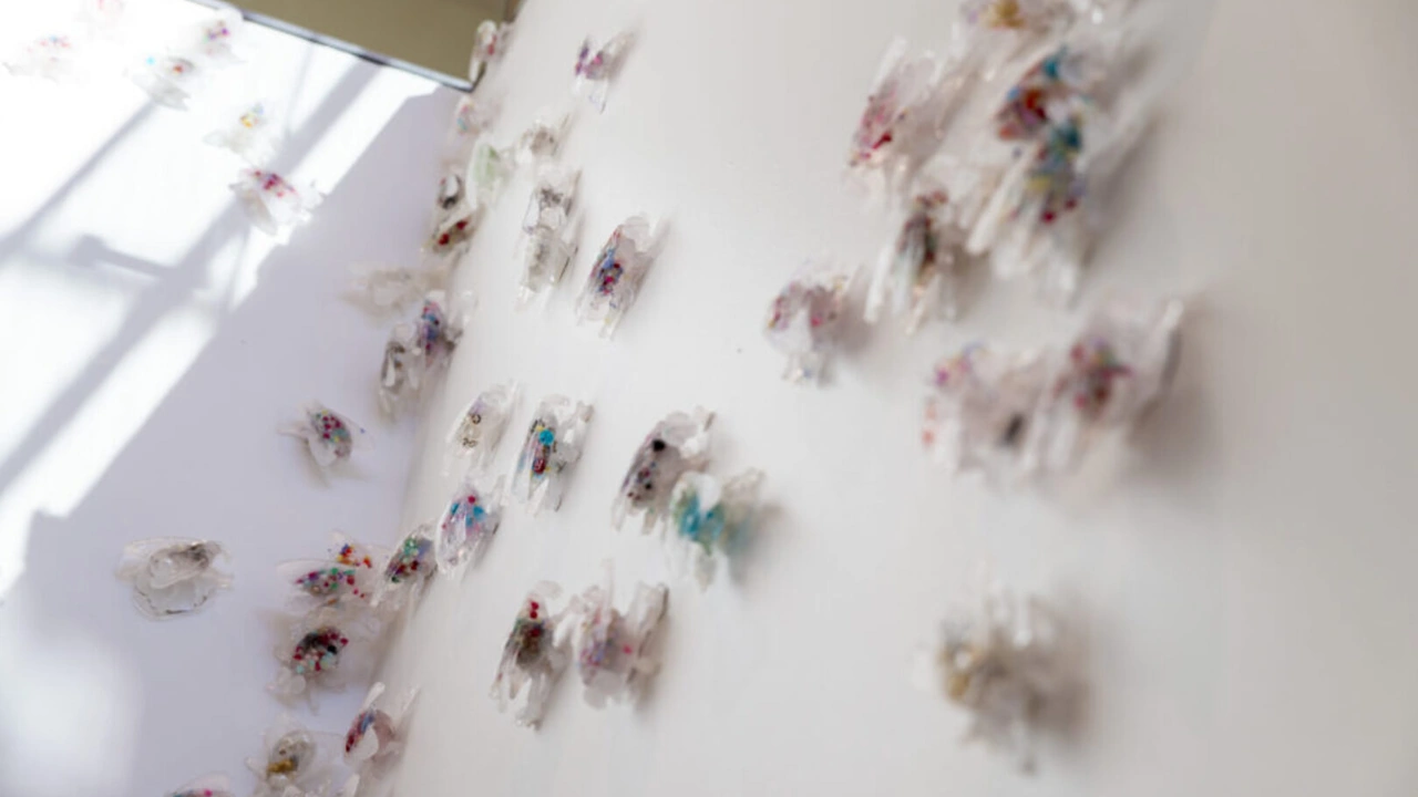 Small translucent sculptures pinned in a cluster across a white gallery wall.