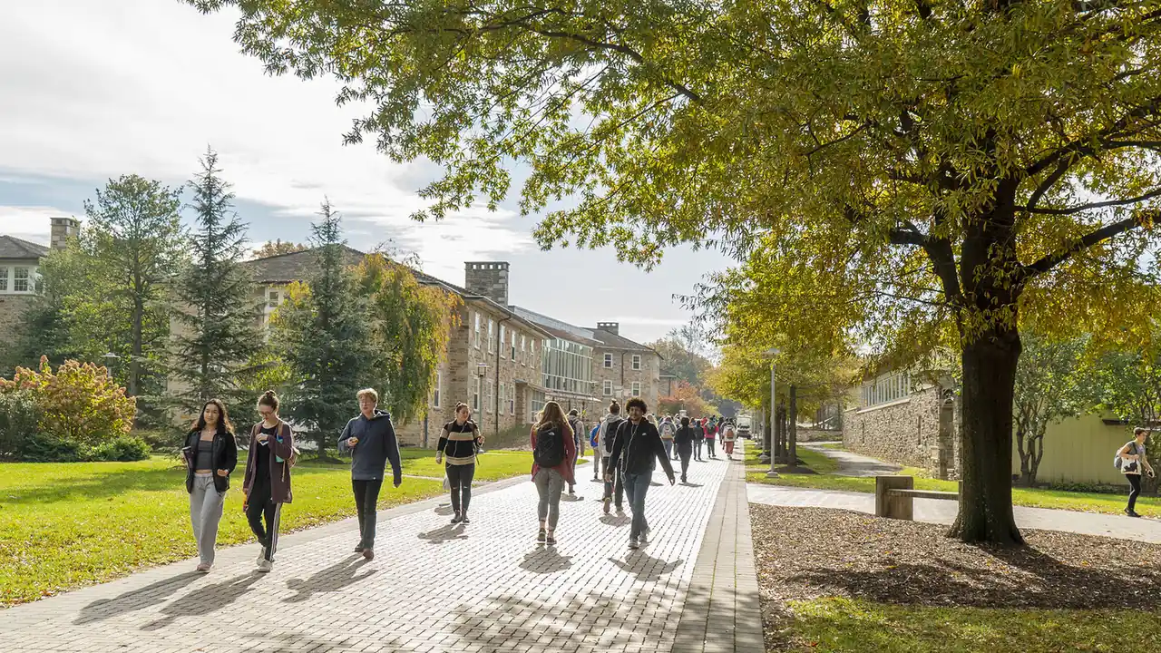 People walk along a paved campus path lined with trees and stone buildings