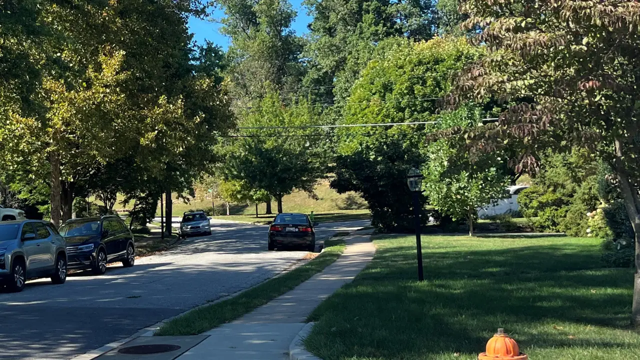A tree-lined neighborhood street in autumn