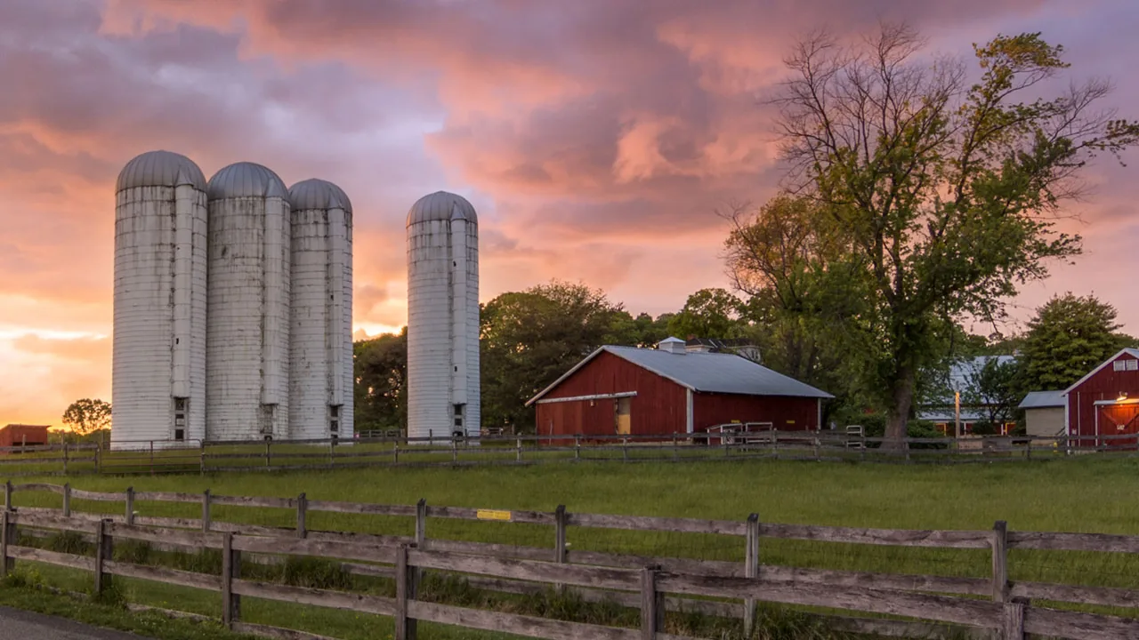 Tall white silos and a red barn behind a wooden fence at sunset.