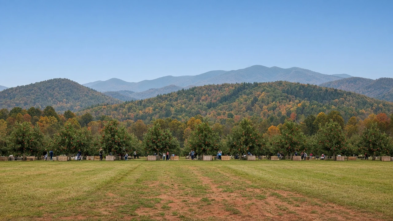B.J. Reece Orchards Fall Season