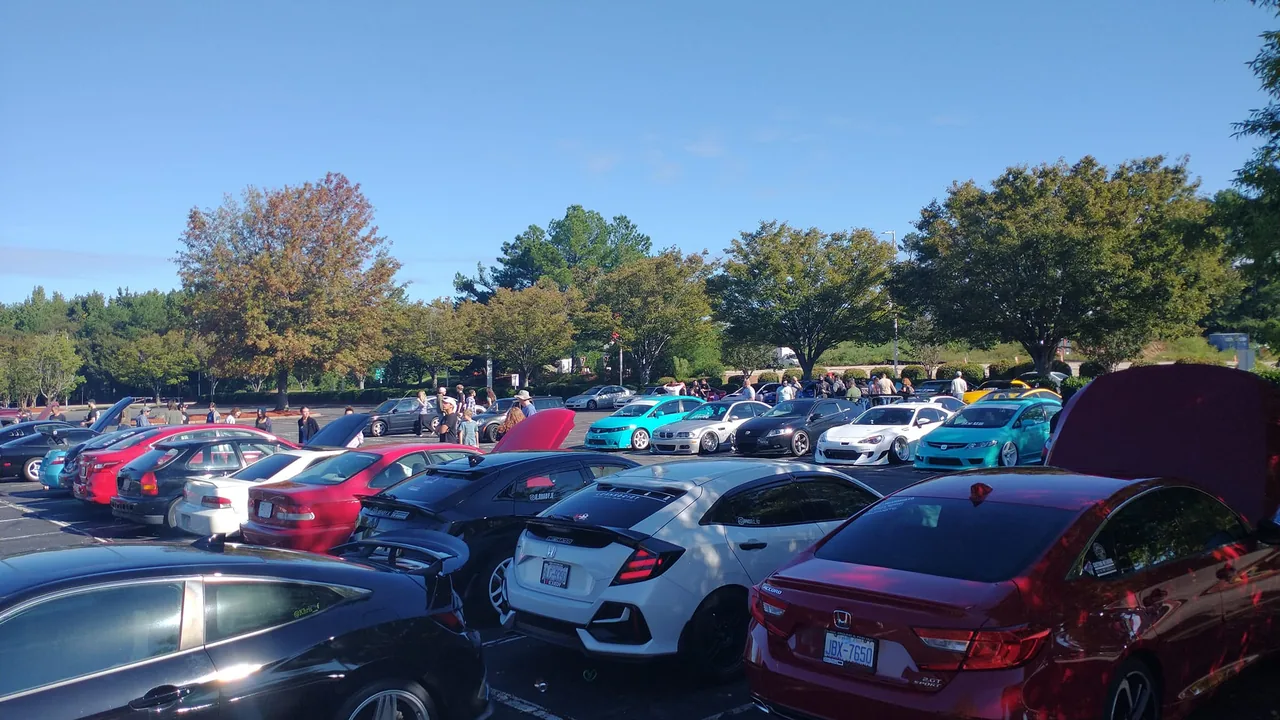 Rows of cars parked under trees on a sunny day