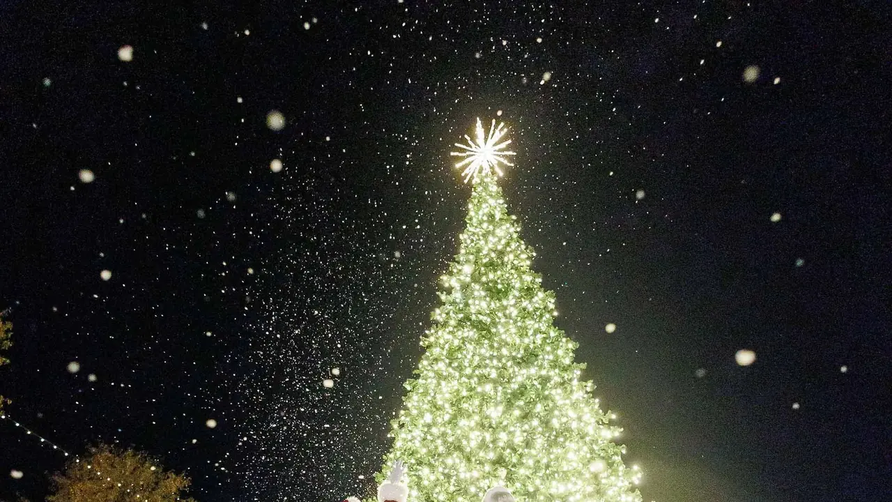 A towering lit Christmas tree topped with a star under falling snow at night.