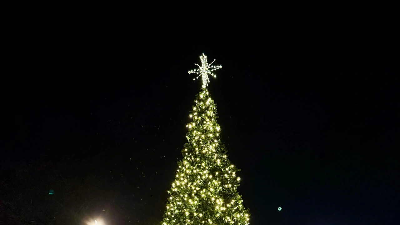 A tall lit Christmas tree topped with a star against a black night sky.