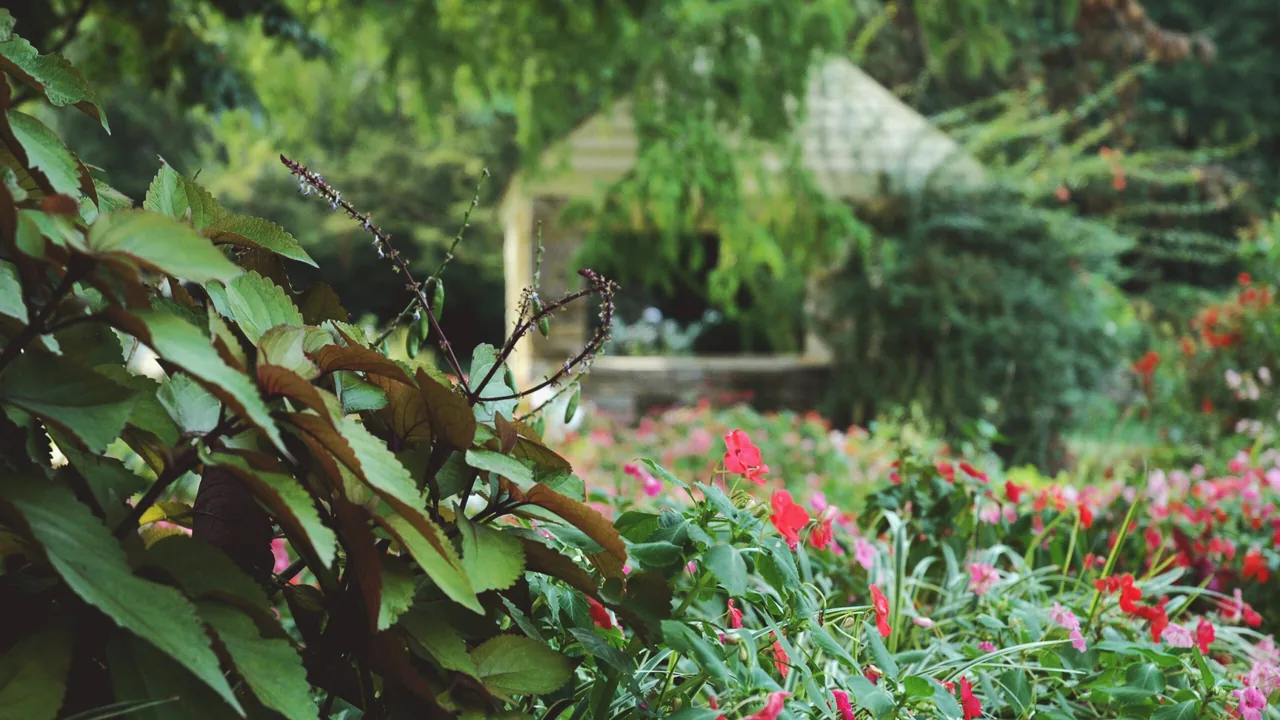 The garden beside Raleigh Little Theatre