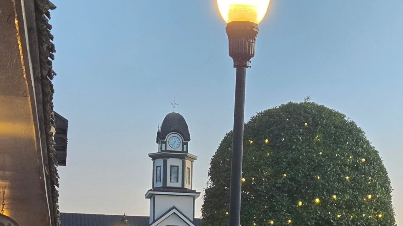 A clock tower and lit tree at dusk