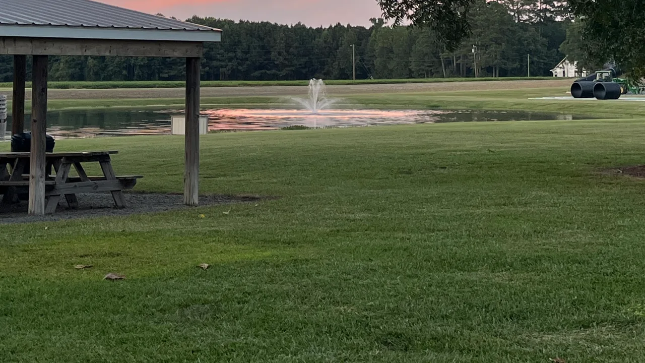 A picnic pavilion beside a pond with a fountain and a wide green lawn.