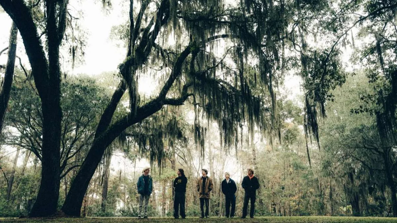 A band stands among moss-draped oaks