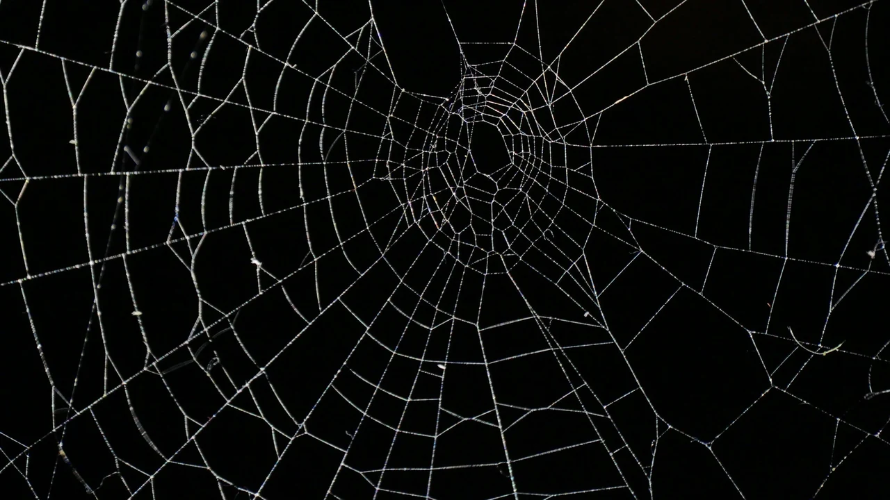 A spider web stretched across a black background