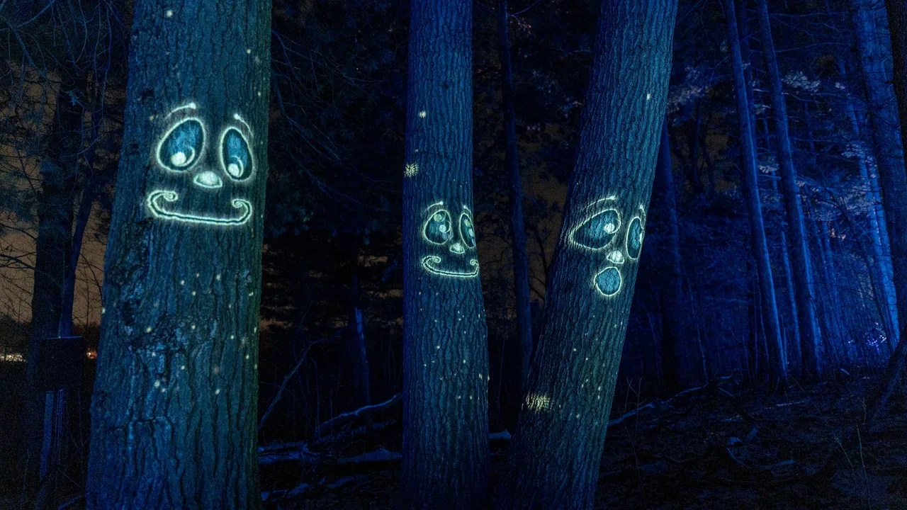 Dark tree trunks lit blue with glowing cartoon faces projected on them.