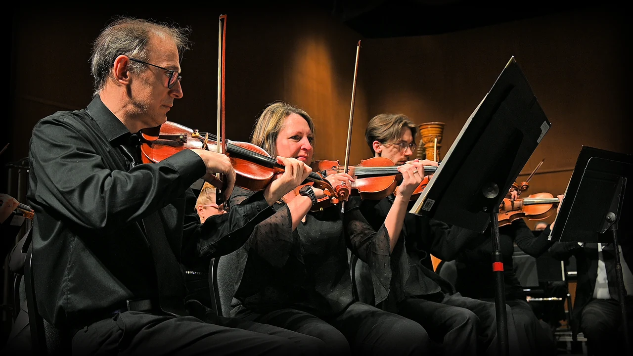 Orchestra violinists play under warm stage light