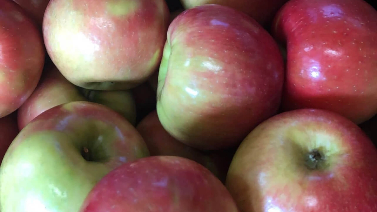 A close-up pile of red and green apples.