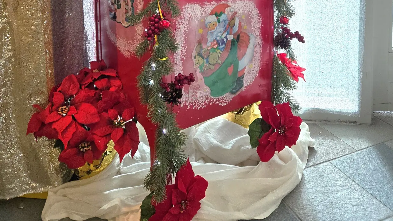 Red poinsettias arranged beside a painted display