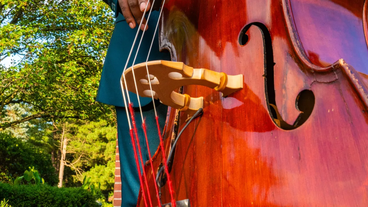 A close view of a double bass scroll in a garden
