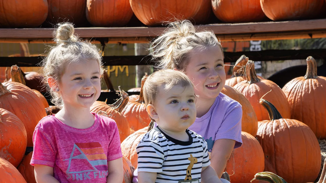 Three young children sit among pumpkins at a farm