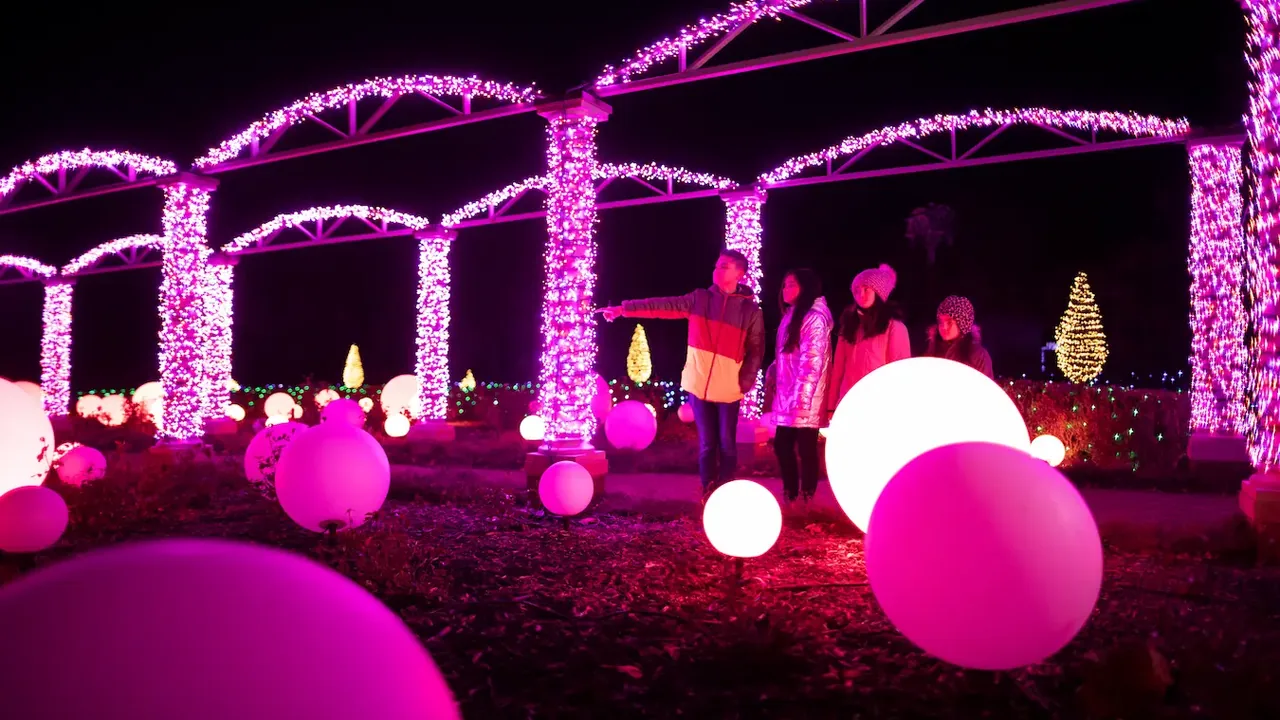 Glowing pink orbs and light-wrapped arches in a dark garden with people walking through.