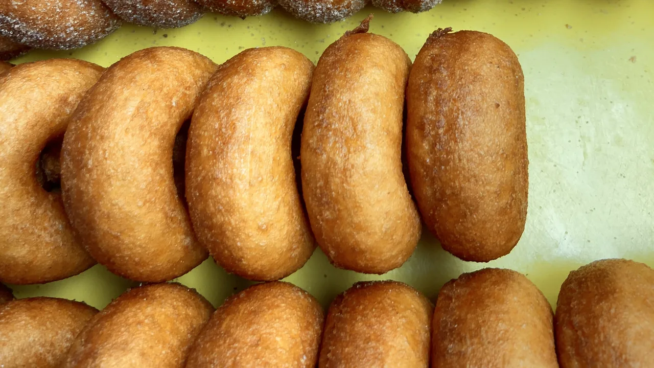 Fresh cider donuts in rows