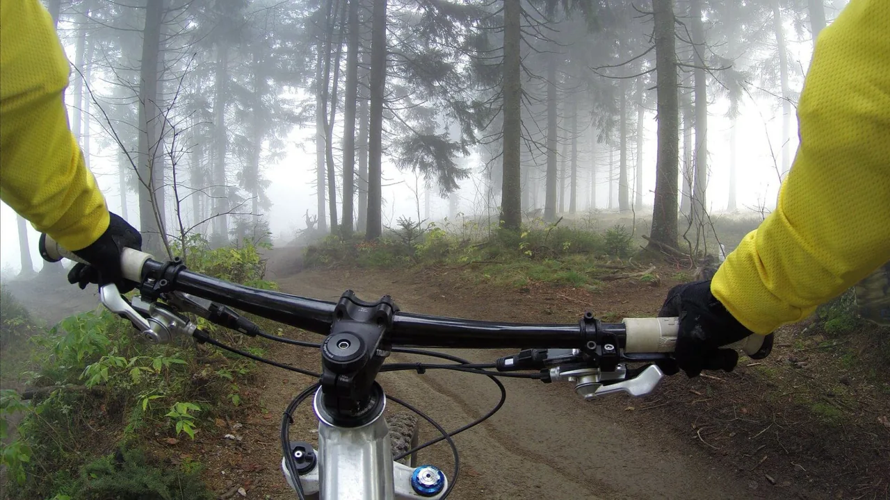 A cyclist's view down a misty forest trail