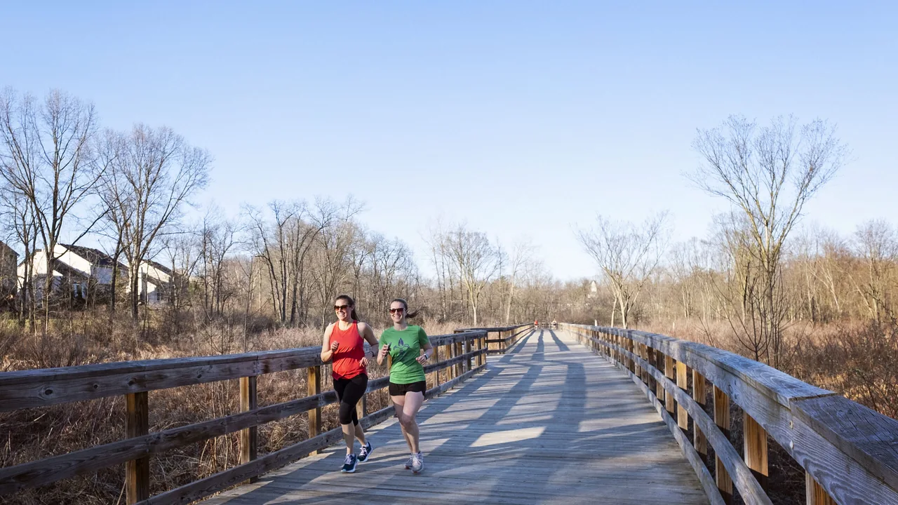 Two runners cross a wooden boardwalk through bare winter woods