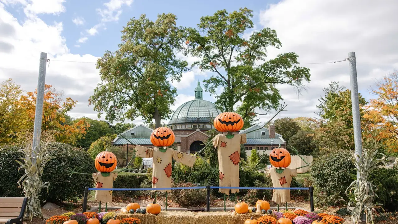 Pumpkin-headed scarecrows stand in a garden before a domed building