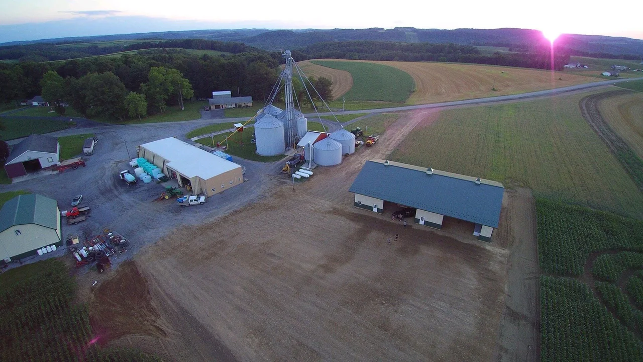 Hite Farms Corn Maze